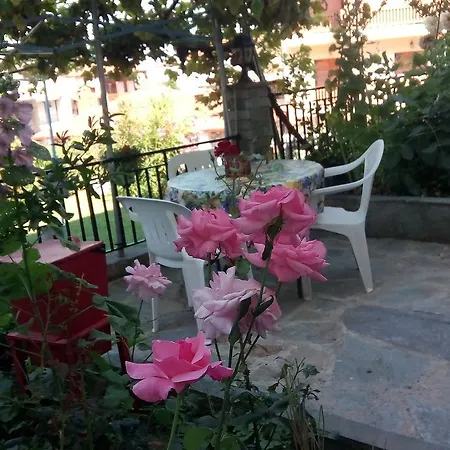 Olympus Appartement Litochoro