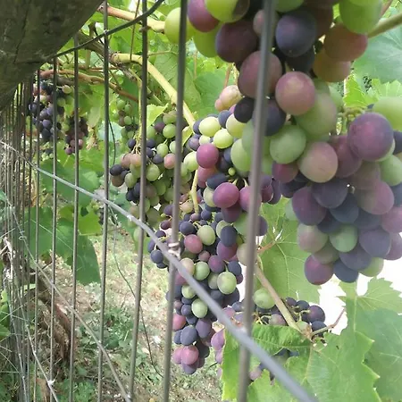 Olympus アパート