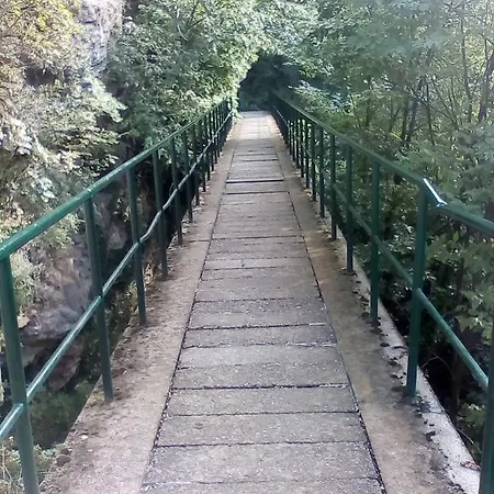 Olympus *