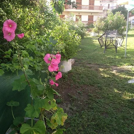 Olympus Appartamento